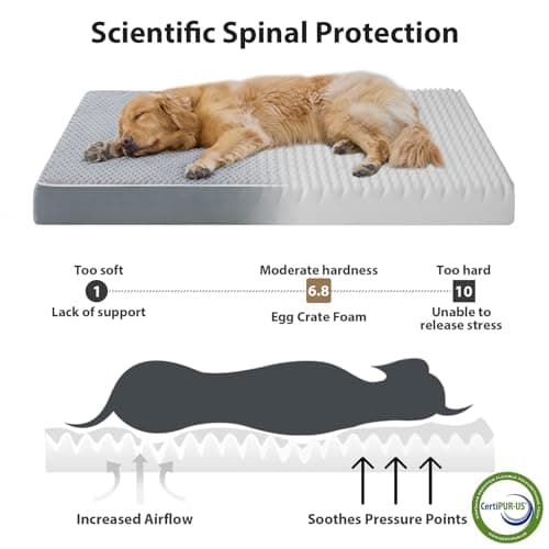 LEXTRO Giant Waterproof Orthopedic Dog Bed for Large Size Dogs, 55x42 Oversized Dog Bed Washable with Removable Washable Cover, Big Comfortable Dogs Mat, Gray - Thumbnail 2