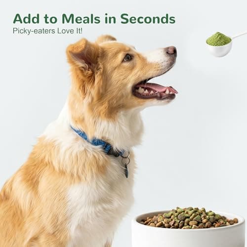 Vetriuntrix Dog Dental Powder, Dental Powder for Dogs Teeth Cleaning and Breath Fresh, Dog Dental Care with Natural Enzymes, Probiotics, Tartar Remover and Plaque Off - 150g - Thumbnail 3