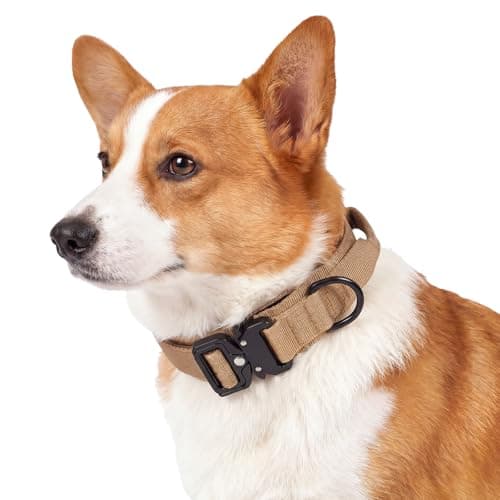 Relux Tactical Dog Collar with Handle – Designed for Small Dogs Adjustable Nylon Pet Collar with Heavy-Duty Metal Buckle, Durable and Comfortable Dog Collar, Suitable for Small Dogs (Brown, M)