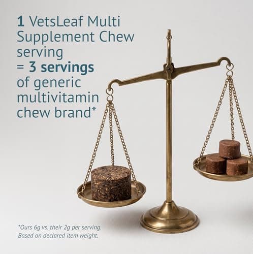 VetsLeaf Dog Multivitamin Chews - Glucosamine, Probiotics, Salmon Oil, Mushroom Blend & Ashwagandha - Daily Dog Vitamins for Immune, Joint, Skin, Gut and Energy Support - Made in USA - 60 Count - Thumbnail 4