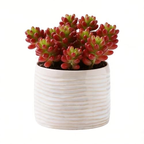 JINNTHE Plant Flower Pot, Small Ceramic 5" Modern Flower Pots for Home Office Indoor Outdoor Planters, Planter for Orchid Succulent Cactu Floral, Handmade Ceramic Vase (Without Drainage)