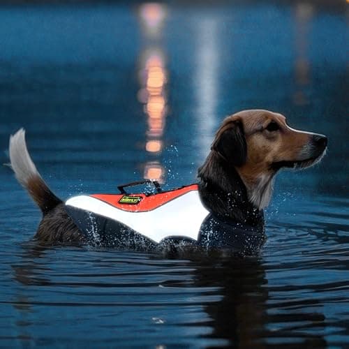 Adjustable Reflective Life Jacket for Medium Dogs - Buoyancy Swim Vest, Rescue Handle Dog Flotation Device, Beach Essentials, Dog Life Vests for Boating, Beach, Pool(M, Orange) - Image 1