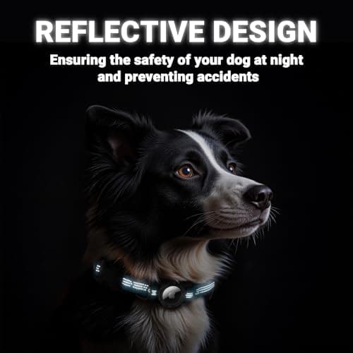 IP68 Waterproof AirTag Dog Collar – Heavy Duty Reflective Padded Design with Integrated AirTag Holder for Small, Medium & Large Dogs – Comfortable & Durable, Size M (12.6"-17.1"), Blue - Thumbnail 5
