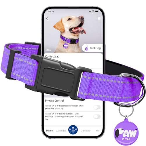 Reflective Dog Collar for Extra Small Dogs with Dog Tags Personalized & Quick Release Buckle, Adjustable and Comfortable Nylon Pet Collar, Purple - Image 1
