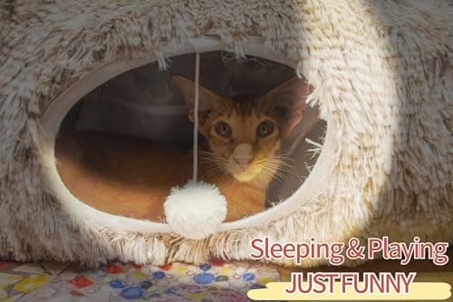 XxingSheep XL Cat Tunnel with Bed for Indoor Cats Peekaboo Cat Cave Donut Toy with Warm Mat,Yellow-Brown - Thumbnail 4