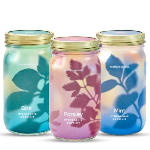 Modern Sprout Garden Jar Gift Pack - Self-Watering Hydroponics Growing System Kit with Organic Herb Seeds - Seed Starter Kit for Indoor Herb Garden - Home Decor & Gifting - Basil, Parsley & Mint - Image 1