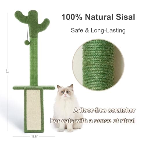 Wall Mounted Cat Shelf with Sisal Scratcher, Cat Wall Step for Climbing & Jumping, Space Saving Cat Wall Furniture for Indoor Cats, Modern Cat Climbing Platform - Thumbnail 2