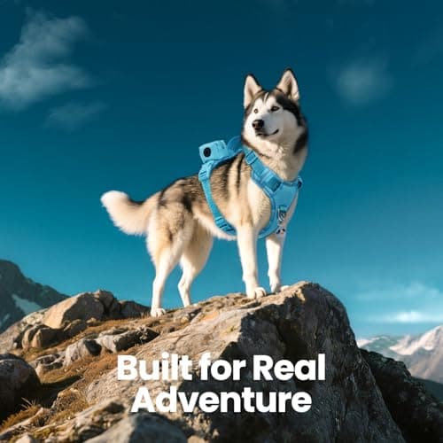 PawView Heavy Duty No Pull Dog Harness with Handle, Escape-Proof & Waterproof Vest, Adjustable Reflective Design with Front Clip & Poop Bag Holder, Includes QR ID Tag for Hiking & Running, Small - Thumbnail 2