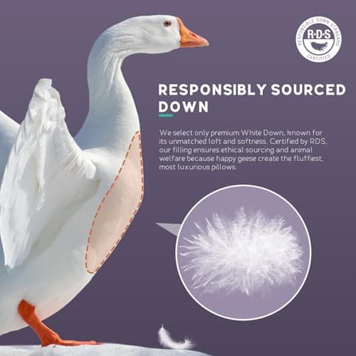 PlushHavenCloud White Goose Down Pillow Luxury Hotel Bed Pillow with 100% 900+ Fill Power, Goose Feather Pillow for Sleeping, 700TC Cotton Shell, Standard Size- Medium, 1 Pack - Thumbnail 3