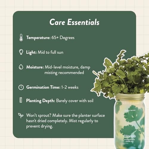 Modern Sprout Mason Garden Jar - Self-Watering Hydroponics Growing System Kit with Organic Herb Seeds - Jar Planter for Indoor Herb Garden - Seed Starter Kit - Home Decor & Gifting - Cilantro - Thumbnail 5