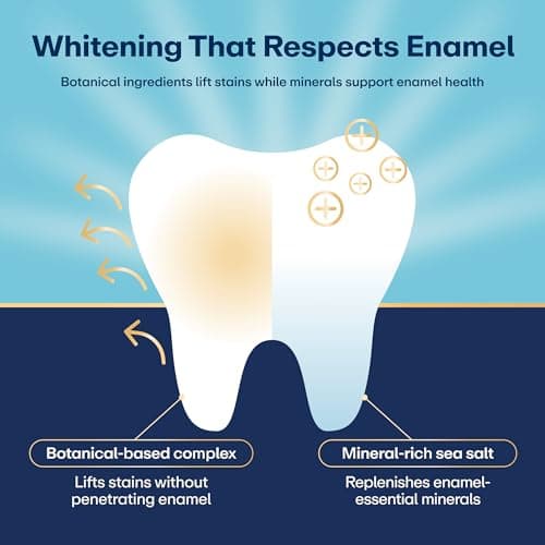 Lumineux Teeth Whitening Strips - 21 Treatments (3 Months) - Peroxide Free - Enamel Safe for Whiter Teeth - Whitening Without The Sensitivity - Dentist Formulated - Sensitivity - Thumbnail 3