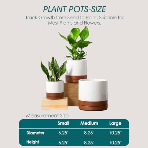 vancasso Ceramic Pots for Plants, Plant Pots for Indoor Plants, 6.25+8.25+10.25 Inch Ceramic Planters, Flower Pots with Drainage Holes, Planters Pot for Indoor House Plant, Set of 3, Khaki - Thumbnail 2