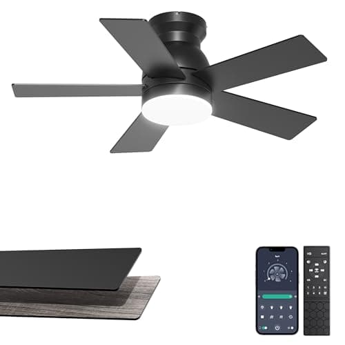 Phylluz 32'' Small Ceiling Fan with Light, Mini Low Profile Flush Mount Fan for Hallway & Closet, Quiet DC Motor, Modern Tiny Space Ceiling Fan with App/Remote Control, Black - Image 1