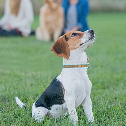 Reflective Personalized Dog Collar - Custom Embroidered Dog Collars with Pet Name and Phone Number for Boy and Girl Dogs, 4 Adjustable Sizes, XSmall,Small, Medium and Large - Thumbnail 4