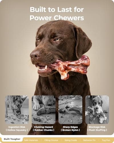ChienBox Dog Toys for Aggressive Chewers: Gift Box with 3 Pack Dog Chew Toys, Indestructible Dog Toy for Large Dogs Birthday Toy, Tough Dog Toys to Keep Them Busy, Chew Toys for Dogs,Bacon Flavor - Thumbnail 2