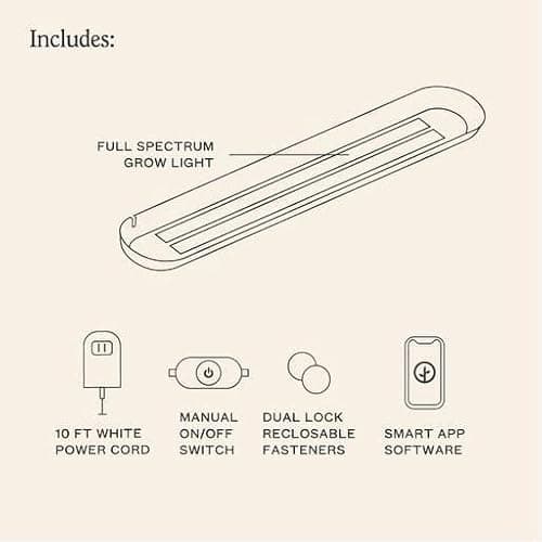 Modern Sprout Garden Jars + Smart Growbar Bundle - Self-Watering Hydroponic Herb Growing Kit with Full-Spectrum LED Grow Light, Organic Herb Seeds, Smart App, Adjustable Brightness, Ideal for Gifting - Thumbnail 6