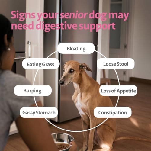 Ayourpets Dog Digestive Chews for Diarrhea, Loose Stool & Sensitive Stomachs – Herbal Gut Support with Ginger, Fennel & Turmeric – Pork Flavor – 90 Count - Thumbnail 4