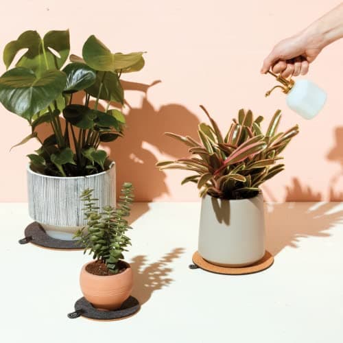 Modern Sprout Plant Mister, 8 oz Indoor Watering Can, Aesthetic Plant Sprayer & Water Mister Spray Bottle, Garden Watering Can for Seed Starting, Vintage-Inspired Gift for Father's Day - White - Thumbnail 6