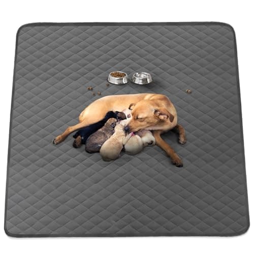 Washable Reusable Dog Pee Pads, 48"x65" Absorbent & Waterproof Puppy Training Pad for Crate, Playpen & Carpet, Large Potty Pads for Dogs, Cats & Small Pets - Image 1