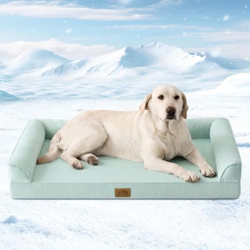 Cooling Dog Bed, Orthopedic Foam Dog Bed with Sides, Removable Washable Cover & Waterproof Lining and Nonskid Bottom, Comfortable Pet Beds for Large Dogs, Green (42" L x 30" W x 7" Th) - Image 1