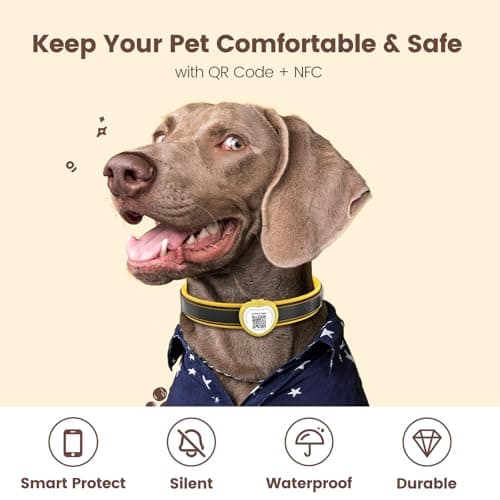 Personalized Dog Tags, QR Code Pet ID Tags for Dog Collars, Scan QR for Instant Location Alert, Emergency Contact & Online Profile, Battery-Free, Waterproof, Silent Silicone, Heart Shape, Yellow - Thumbnail 4