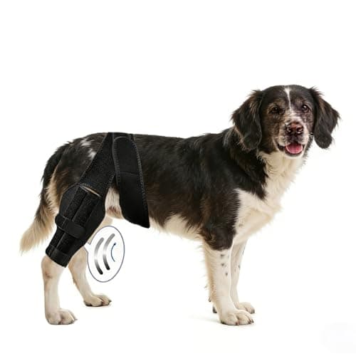 EGBULL Dog Hind Leg Support Brace for Dogs with Adjustable Rear Leg Strap Made of Breathable Neoprene for Senior Dogs Active Dogs and Daily Comfort Small Medium Large Dogs (M)