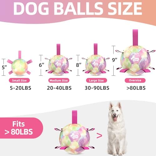QDAN Extra Large Dog Toys Soccer Ball for Extra Large Dogs - Durable Dog Ball for Beach Pool Water Toy, Interactive Tug of War, Puppy Birthday Gifts, Rainbow (9 Inch) - Thumbnail 6