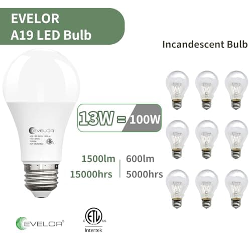 evelor 24-Packs A19 LED Light Bulbs,100 Watt Equivalent Daylight 5000K Bright Bulbs Efficient 13W,1500 Lumens E26 Base, Non-Dimmable, 15000-Hour Lifespan for Bedroom, Living Room, Office - Thumbnail 3