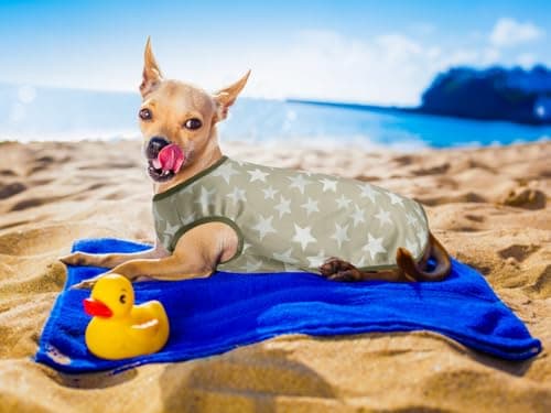 Lightweight Breathable Dog Cooling Shirts, Quick Dry Dog Sunscreen T-Shirt, Professional Pet Summer Vest for Small Medium Large Dogs - Thumbnail 3