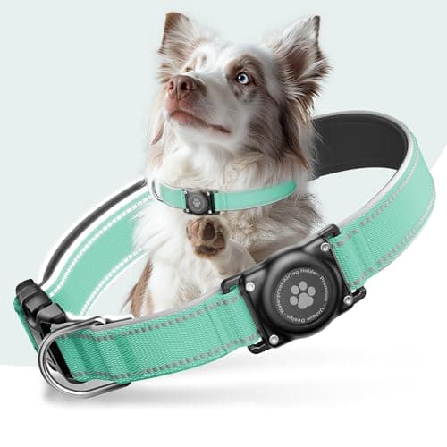 AirTag Dog Collar, IP68 Waterproof Air Tag Dog Collar Holder, Reflective, Ultra-Durable, Comfortable Padded, Heavy Duty Dog Collars for Small Medium Large Dogs (Aqua, M)