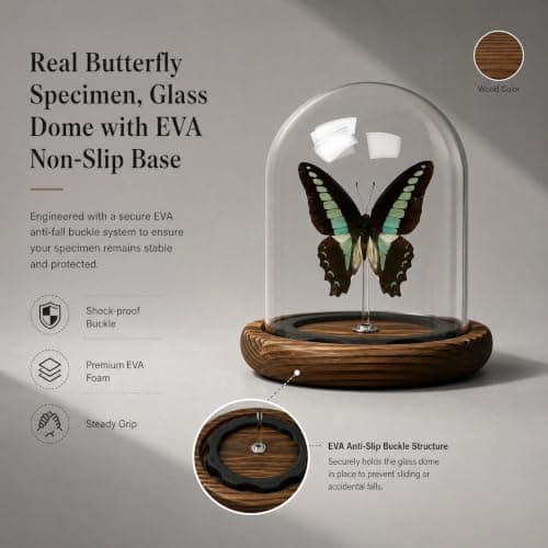 Wugakio Glass Taxidermy Butterfly Specimen Shadow Box, Butterfly Gifts for Women Girls with Glass Cover, Butterfly Decor for Bedroom Office Living Room Desk (Graphium sarpedon) - Thumbnail 3