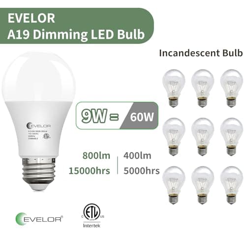evelor 6-Packs A19 Dimmable LED Light Bulbs,60 Watt Equivalent Daylight 5000K with E26 Base,Efficient 9W,800 Lumens LED Bulbs,15000 Hours, Ideal for Bedroom Living Room - Thumbnail 3
