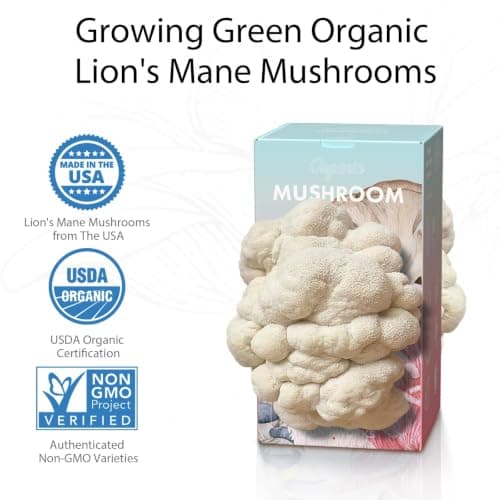 USA Organic 4lbs Lion's Mane Mushroom Growing Kit, Non-GMO - Thumbnail 5
