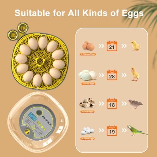 IBKINXX Incubator for Hatching Eggs-12 Egg Capacity, 2026 Newly Upraded Automatic Egg Turner, Temperature & Humidity Control, 360° Viewing for Chicken, Duck and Quail Eggs (Grey) - Thumbnail 5