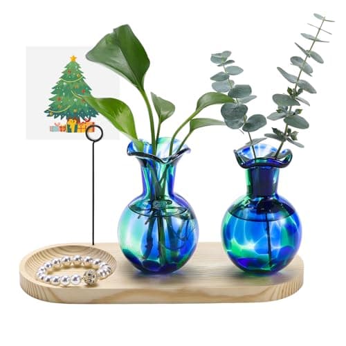 Pozfun Hand Blown Glass Plant Propagation Stations Plant Terrarium Wooden Stand for Hydroponic Plants Combine Jewelry Tray and Photo Holder Office Home Garden Decor - 2 Bulb Glass Vases - Image 1