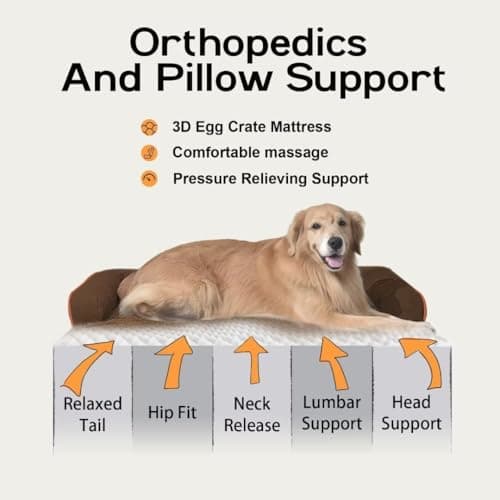 Large Dog Bed Orthopedic Washable - Beds Bolster - Extra Large Big Dogs - Waterproof with Removable Cover - Memory Foam Couch Sofa - Coffee Dog Bed - Thumbnail 2