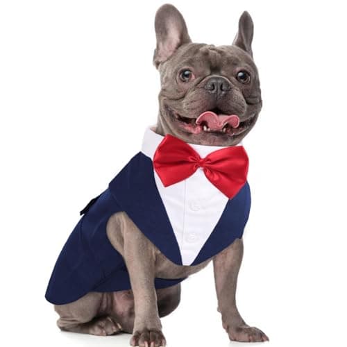 DORA BRIDAL Dog Tuxedo for Medium Dogs, Dog Suit and Bowtie, Formal Dogs Wedding Outfit, Pet Tuxedo and Bandana Set Valentines Birthday Costumes for French Bulldog, Pomeranian, Dachshund, Blue, M - Image 1