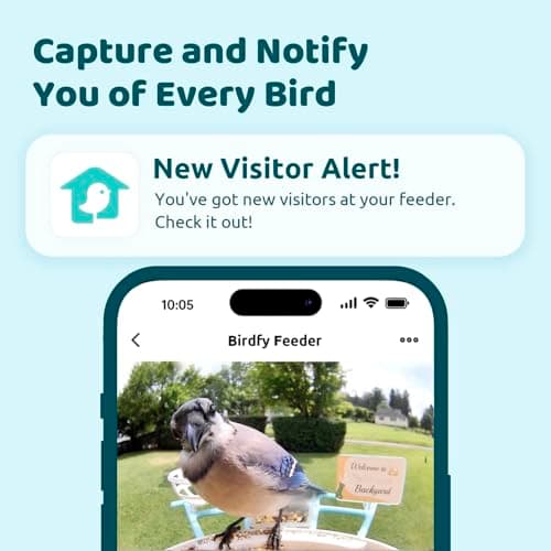 NETVUE by Birdfy Smart Bird Feeder with Camera, Bird Watching Camera, Auto Capture Video&Motion Detection, 1080P Live Steam, Cardinal Feeder Outdoor Wireless, Ideal Present for Backyard Birder, Yellow - Thumbnail 2