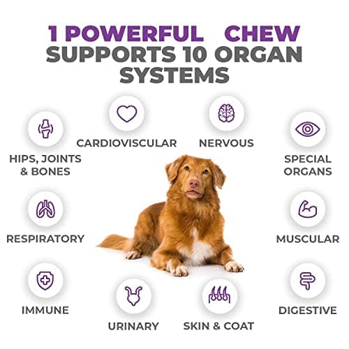 Mighty Petz MAX Dog Multivitamin - Senior & Adult Dog Vitamins 10 in 1 Complete Support for Joints, Immunity, Mobility, Gut, Energy, Skin Health, Pet Multivitamin Daily Chewable Supplement - Thumbnail 4