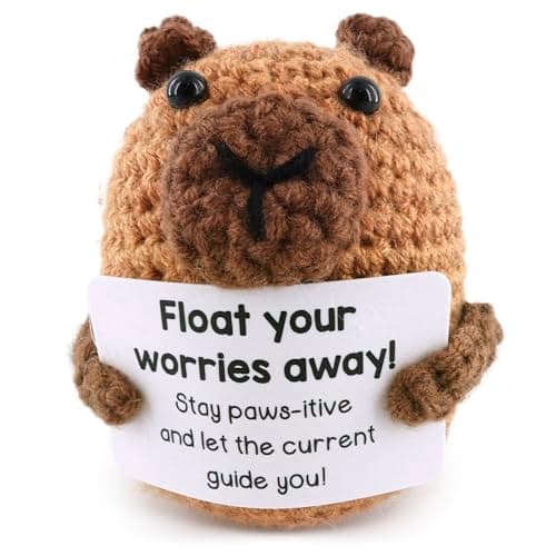 Reluen Crochet Capybara, Float Your Worries Away Handmade Capybara Crochet Figurine with Affirmation Message Card, Desk Decor Gift for Women Men Mom Daughter Sister Coworker Birthday