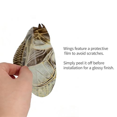 HELLOTOY 3D Acrylic Insects Puzzles DIY Bug Model Kit for Teenagers Educational Display Nature Decoration Figurine Sculpture (Bell Cricket) - Thumbnail 5