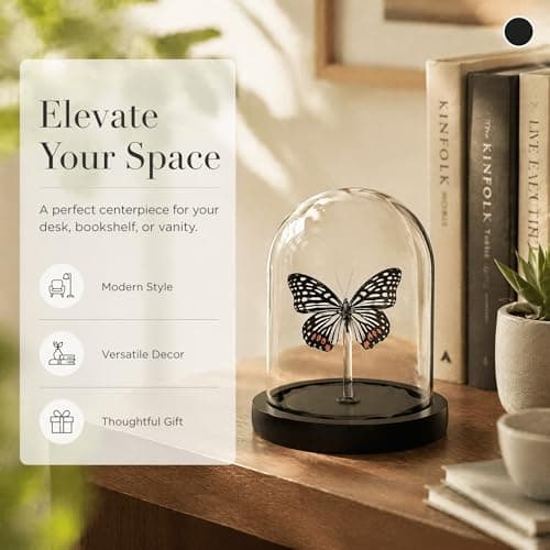 Real Taxidermy Butterfly Specimen hestina assimilis Shadow Box, Butterfly Gifts for Women Girls with Glass Cover, Butterfly Decor for Bedroom Office Living Room Desk - Thumbnail 2