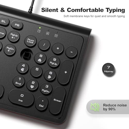 Dilter USB Wired Computer Keyboard with Backlit - Full Size Office Keyboard with Number Pad, Caps Indicators, Foldable Stands, for PC Laptop Desktop Windows 7 8 10 11 (Black) - Thumbnail 6
