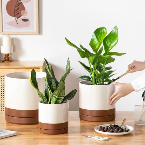 vancasso Ceramic Pots for Plants, Plant Pots for Indoor Plants, 6.25+8.25+10.25 Inch Ceramic Planters, Flower Pots with Drainage Holes, Planters Pot for Indoor House Plant, Set of 3, Khaki - Thumbnail 5