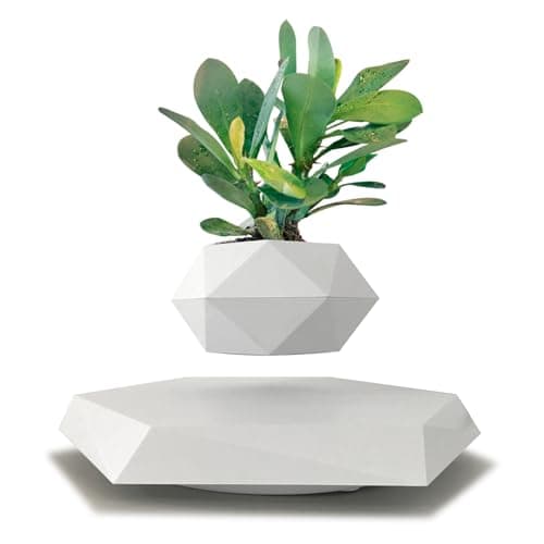Magnetic Levitation Floating Plant Pot, Magnetic Levitating Plant Pot for Small Plants,360°Rotating Levitating Desk Decor for Home & Office,Floating Pot Gift for Plant Lovers,Birthday, Christmas