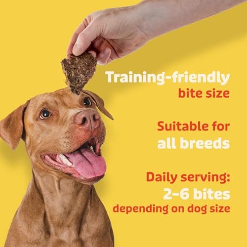 Lovie Beef Lung Dog Treats - Dehydrated Air Dried Soft Bites, Single Ingredient, Protein Rich, 16 oz - Thumbnail 6
