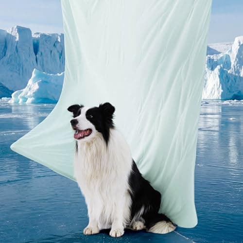 Bedsure Cooling Blanket for Large Dogs with Breathable Air-Core Fill Q-MAX>0.4 - Dog Cooling Mat Soft for Couch, Lightweight Pet Cat Throw Cold Blanket Washable for Summer, Pale Jade, 40x50 - Image 1