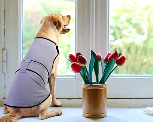 Sychien Dog Anxiety Jacket,Dog's Thunder Calming Shirt Wrap Vest for Large Big Dogs,Travel, Fireworks, Separation, Bluish Grey 3XL - Thumbnail 6