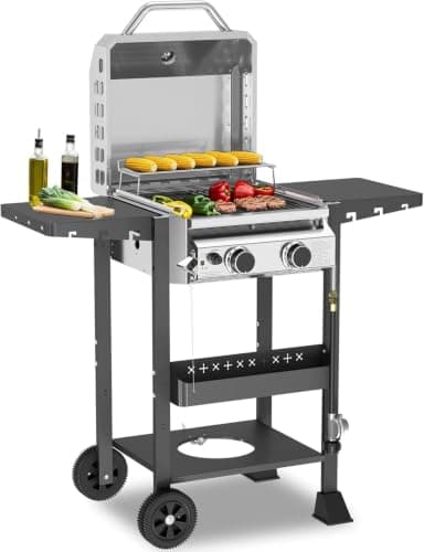 WAA 2-Burner 16000 BTU Propane BBQ Grill, Stainless Steel Barbecue Grill with Cast Iron Grates, Lid, Side Shelf, Removable Oil Tray and Lockable Wheels, Ideal for Patio, Backyard and Camping
