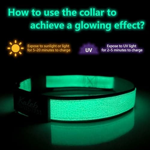 Personalized Dog Collars for Small & Large Dogs with Custom Name and Phone Numbers, Glow in The Dark Adjustable Glowing Luminous Collar(Fluorescent Glow) - Thumbnail 4